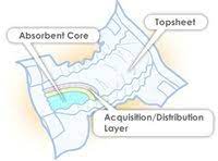 Diaper Cross Section